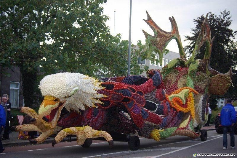 beetles habitats share photo album uploading pictures 5