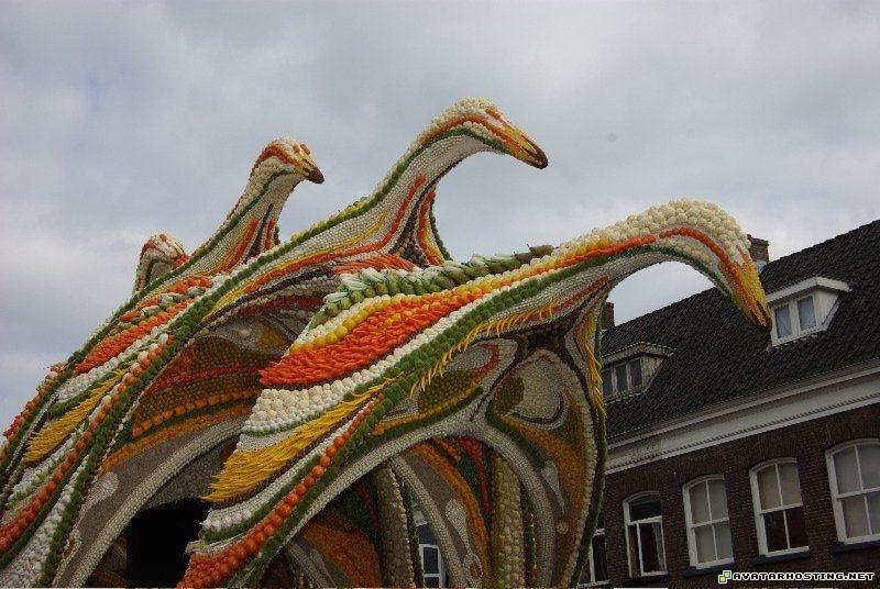 crickets habitats avatar spa mountain suites endangered dragonflies 6