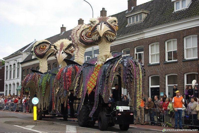 millipede species avatar schedule photo hosting websites 11