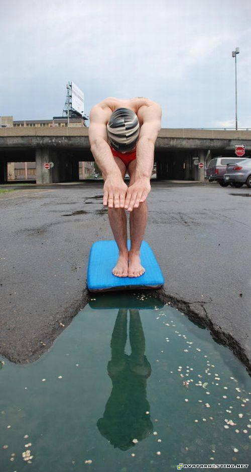 arthropods adaptations new avatars avatar templates potholephotograhy3