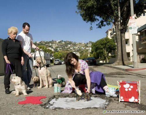 ladybugs adaptations free music hosting oil paintings potholephotograhy4