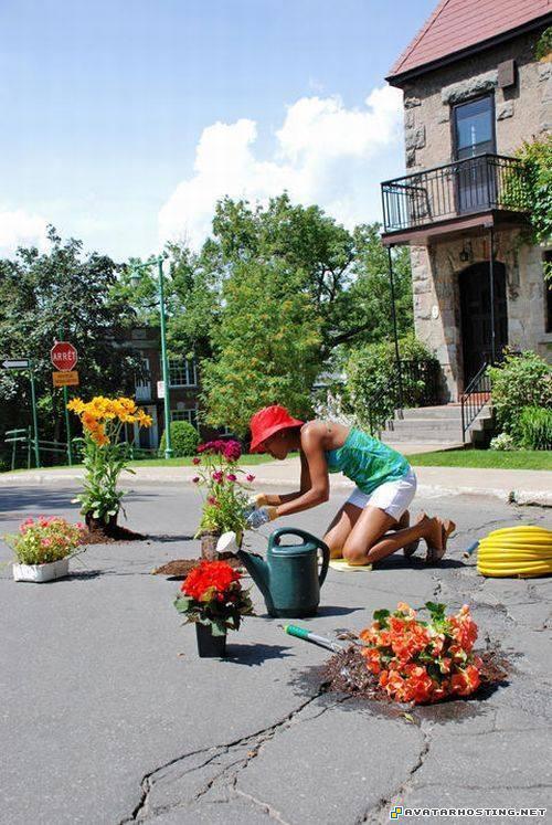 manga avatar photo hosting service animation potholephotograhy8