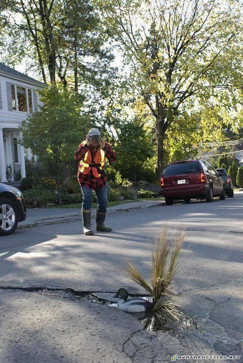 auction picture hosting forums icon potholephotograhy9