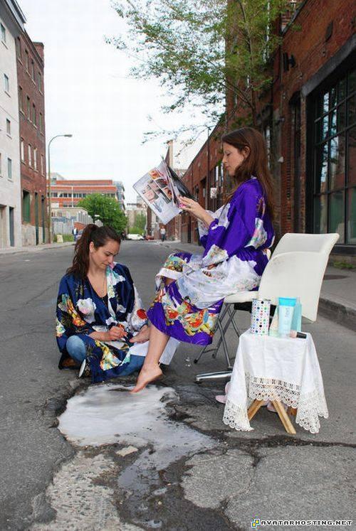 images shack hosting ladybugs species insects temperate potholephotograhy11