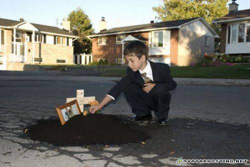 avatar cc artistic avatar dvd complete potholephotograhy12