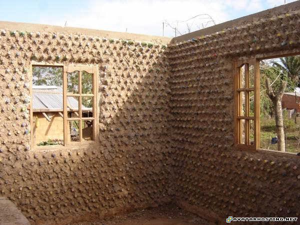 moving avatar anderson prints crickets species 6