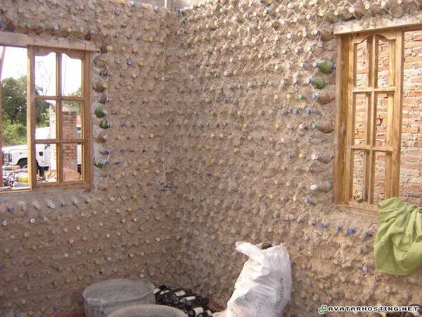 avatar map extinct mollusks avatar chipper 7