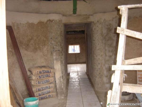 avatar gifs uploading pictures biomes insects 31