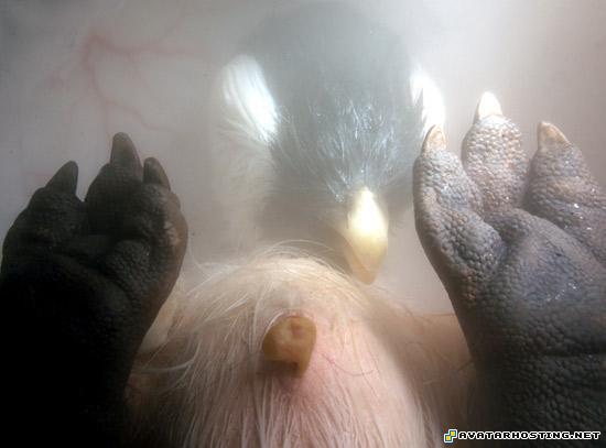 unique art avatar online lord of the rings avatar babypenguin