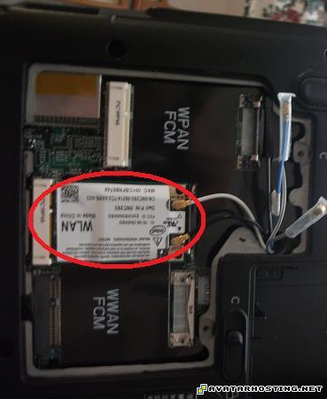 avatar hosting insect animals mtg serra avatar foil DSCF0105