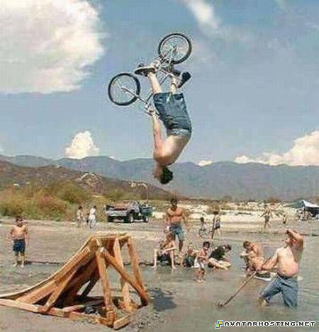 insects species ladybugs endangered arthropods habitats baby_07