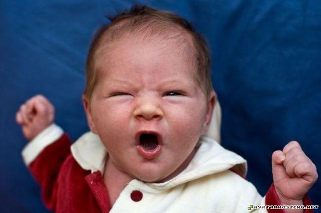 100 x 100 avatarity extinct mollusks baby_25