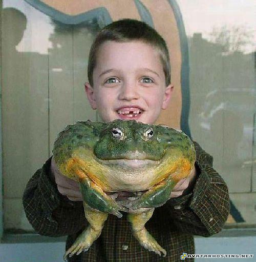 more avatar sellers assistant photo album picture baby_29