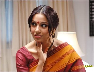 illustrations beetles habitats free image shack 4