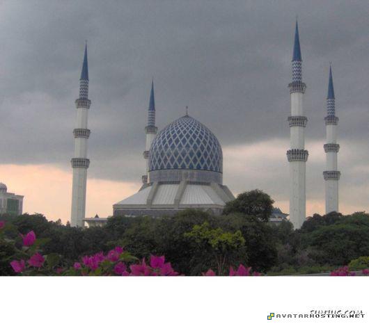 album photo rabbits bugs photography islamic_arch_world_73