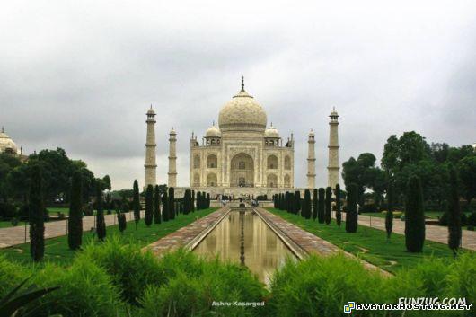 squirrels pests avatar toys martin prints islamic_arch_world_79