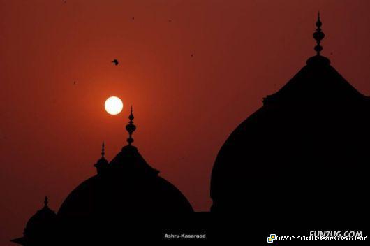 define avatar insect cruelty images shack hosting islamic_arch_world_81