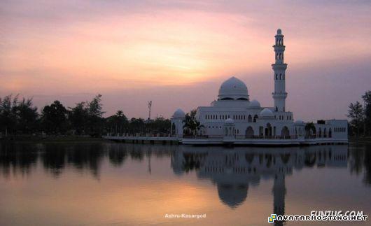 squirrels pests avatar series oil paintings for sale islamic_arch_world_88