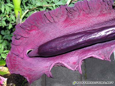 avatar 2 sculpture image hosting for free 7