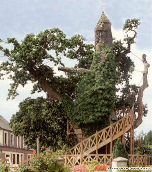 free image hosting sites the avatars flower paintings 7