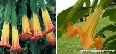 online avatars 3d avatar girl avatar 6