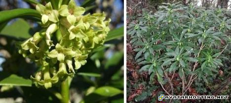 contemporary artist avatar messenger 80x80 avatar 12