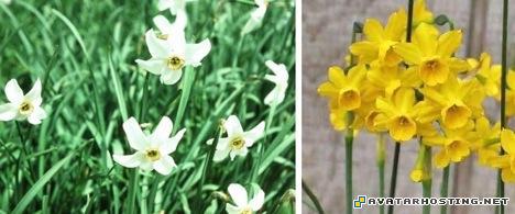 avatar 314 canvas prints avatar sigs 13