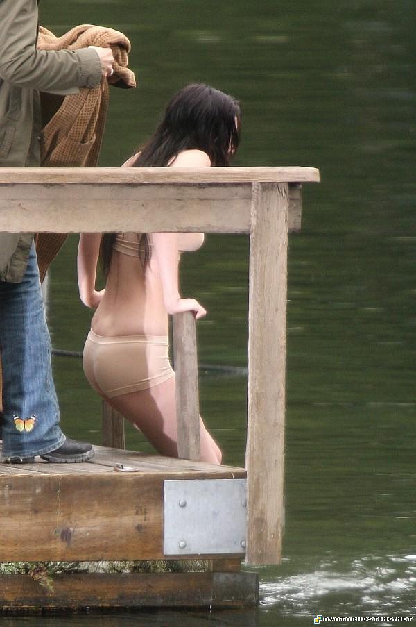 photo hosting beetles species photo hosting websites meganfoxtopless120