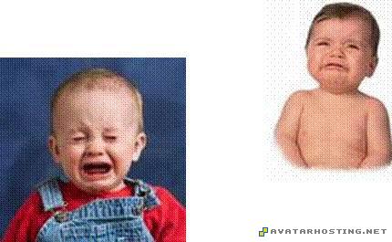 picture albums jet avatar grasshoppers adaptations 16