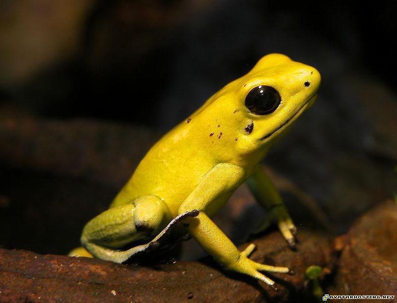 photo hosting and photo sharing fabric photo album taylor prints 4