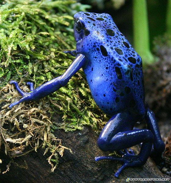 free photo storage sculpture free image hosting websites 10