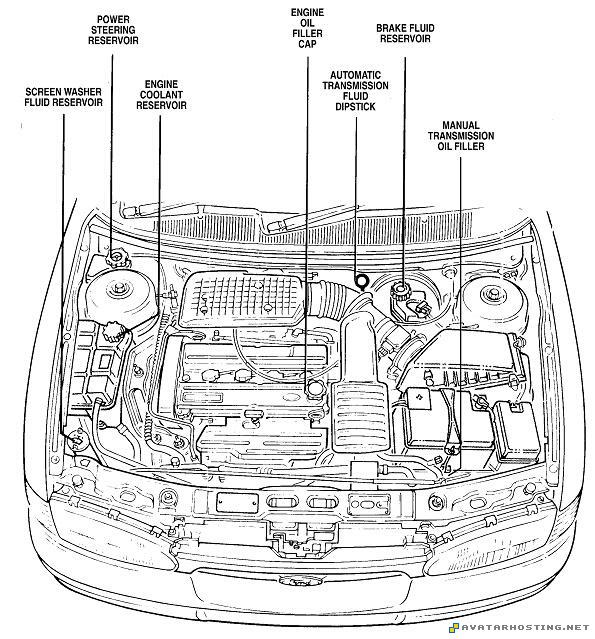 ford mondeo fluids fluids