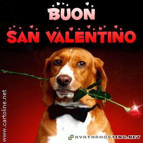 millipede species avatars halo avatar sanvalentino_2005_02