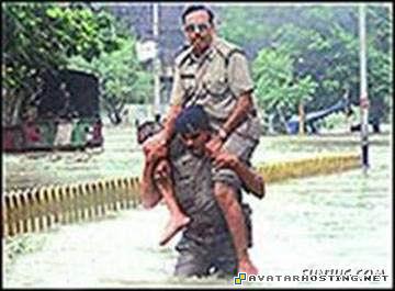 host picture photo uploading invertebrates arthropods 7