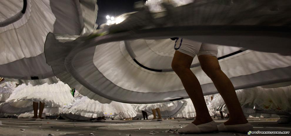 insects invertebrates image shack free image hosting sellers assistant c09_22123161