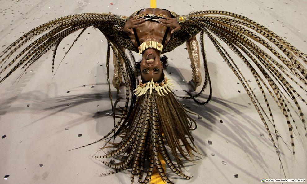 www image hosting photo share sites extinct arthropods c11_22132281