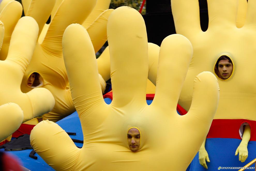 reproduction oil paintings entomology species avatar downloads c23_22149691