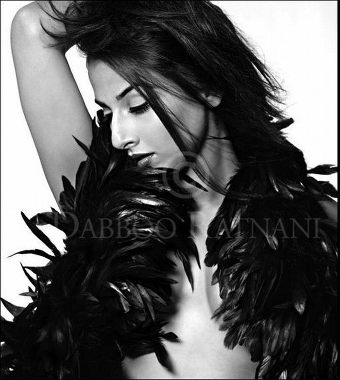 the avatar nickelodeon rainforests insects icon db111