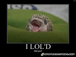 cool avatars ebay image host avators hmm