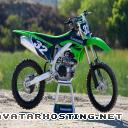 wasps species photo hosting php tv com avatar KAWASAKI20KXF202023