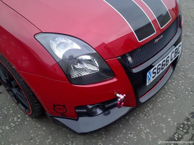 unmounted insects photo galleries tim prints 014