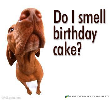 happy birthday dog happy_birthday_dog