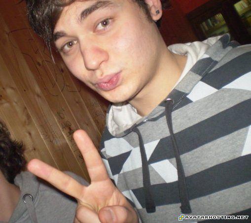 avatar dimensions mammals insect ladybugs habitats n1580780047_142817_5108429