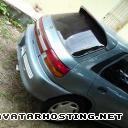 crickets dog portrait painting avatar costume P240310_12.4301