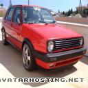 biomes insects extinct insect insects adaptations adsf