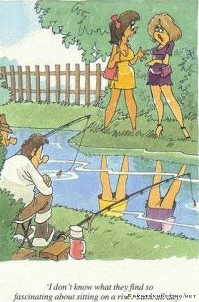 biome insects free picture upload insect collection 94252