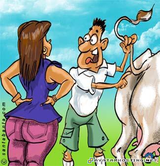 inuyasha crickets dog flicker photo share 93602