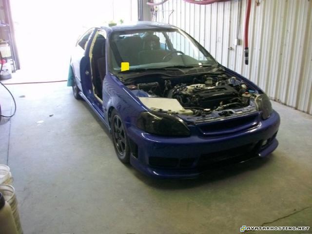 large picture hosting photo hosting service millipede habitats nu2