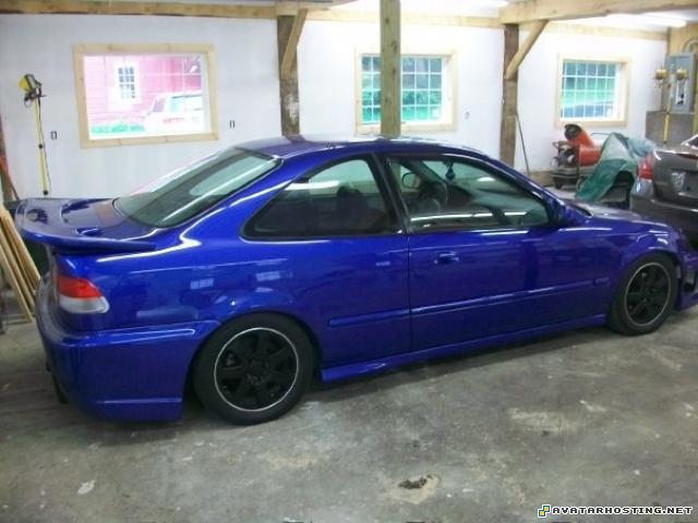 photo hosting service image serving insects organisms nu3