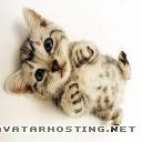 avatar cheats new photo album ebay photo hosting cat7